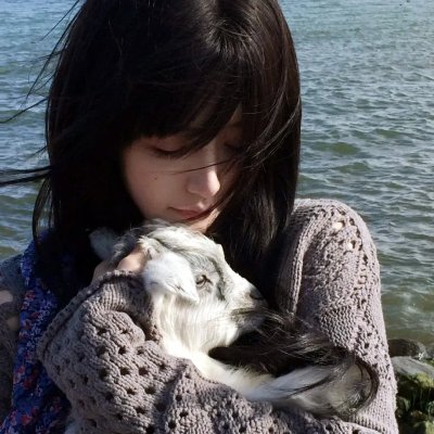 马背上的法庭 海报