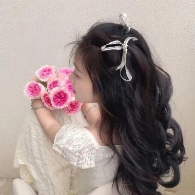 安吉里卡奇遇 海报